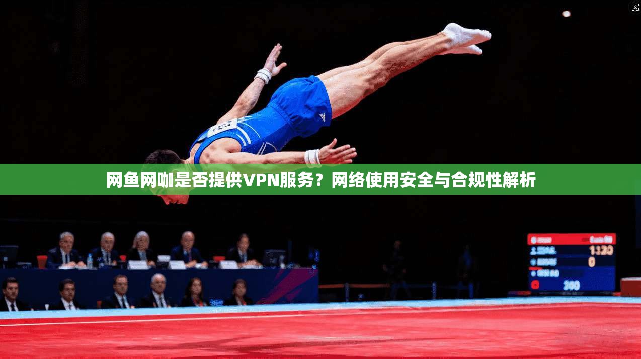 网鱼网咖是否提供VPN服务？网络使用安全与合规性解析