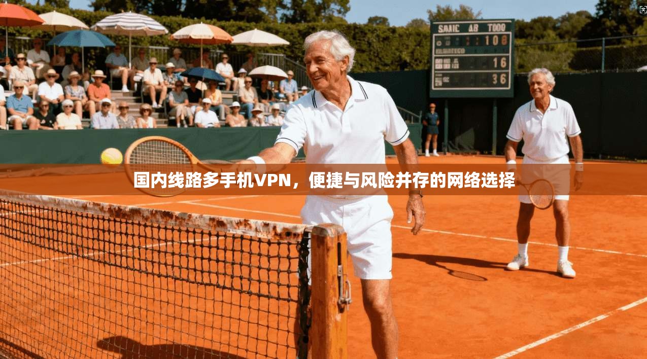 国内线路多手机VPN，便捷与风险并存的网络选择