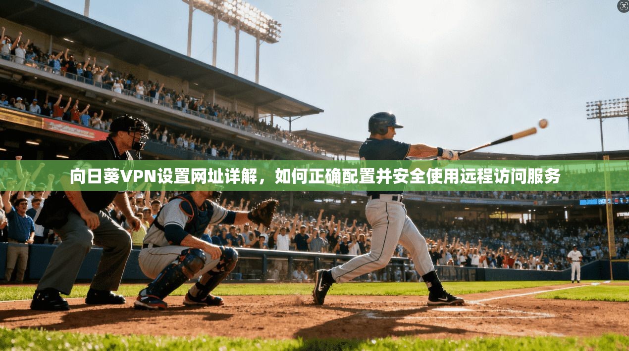 向日葵VPN设置网址详解，如何正确配置并安全使用远程访问服务