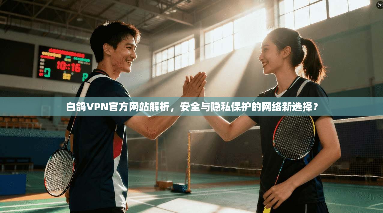 白鸽VPN官方网站解析，安全与隐私保护的网络新选择？