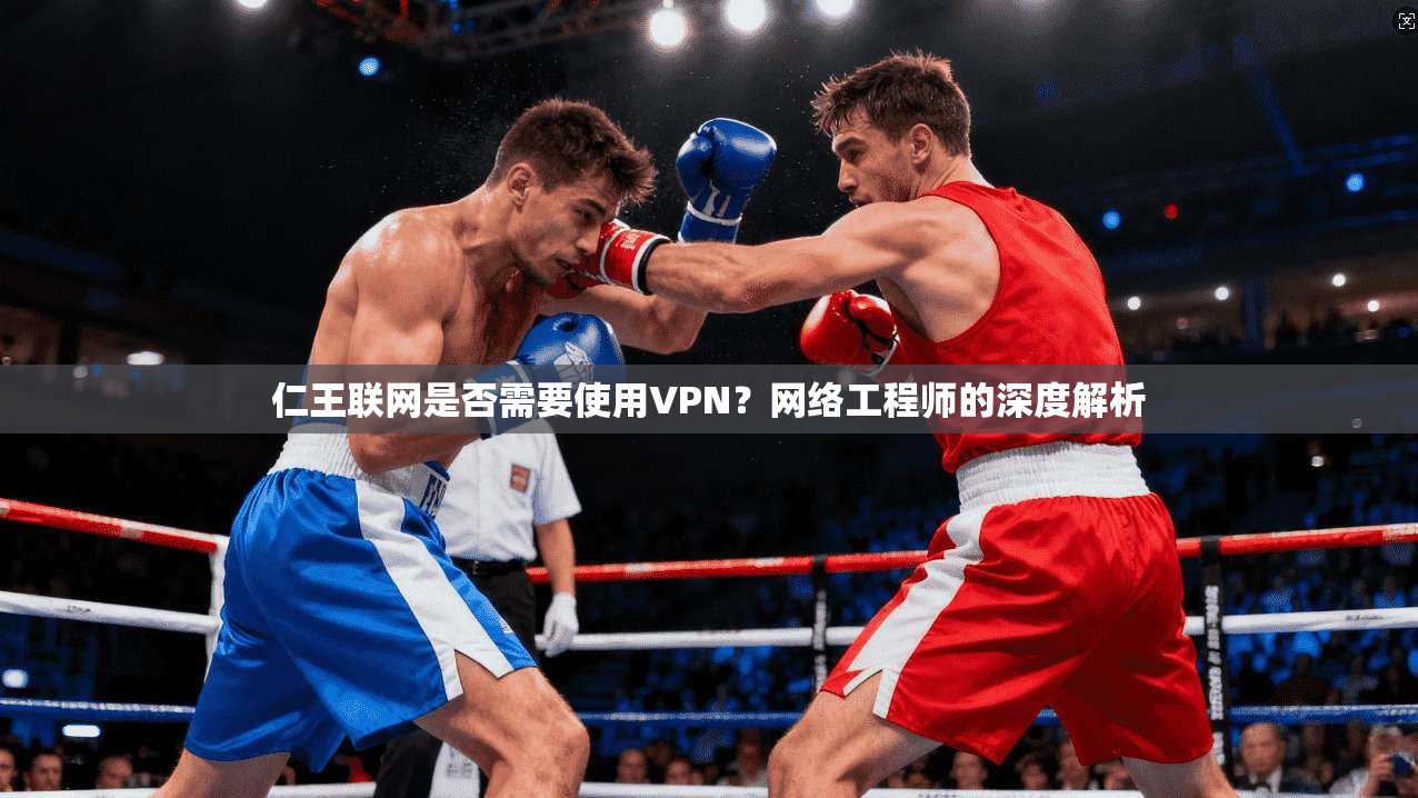 仁王联网是否需要使用VPN？网络工程师的深度解析