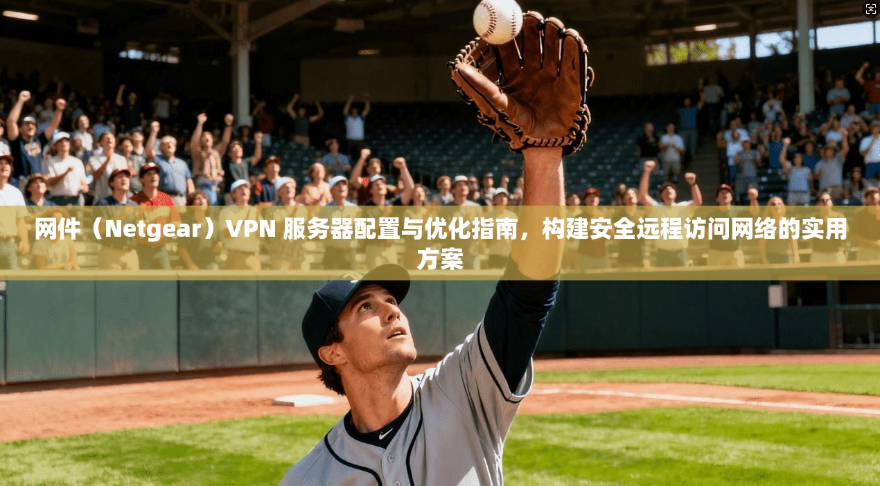 网件（Netgear）VPN 服务器配置与优化指南，构建安全远程访问网络的实用方案