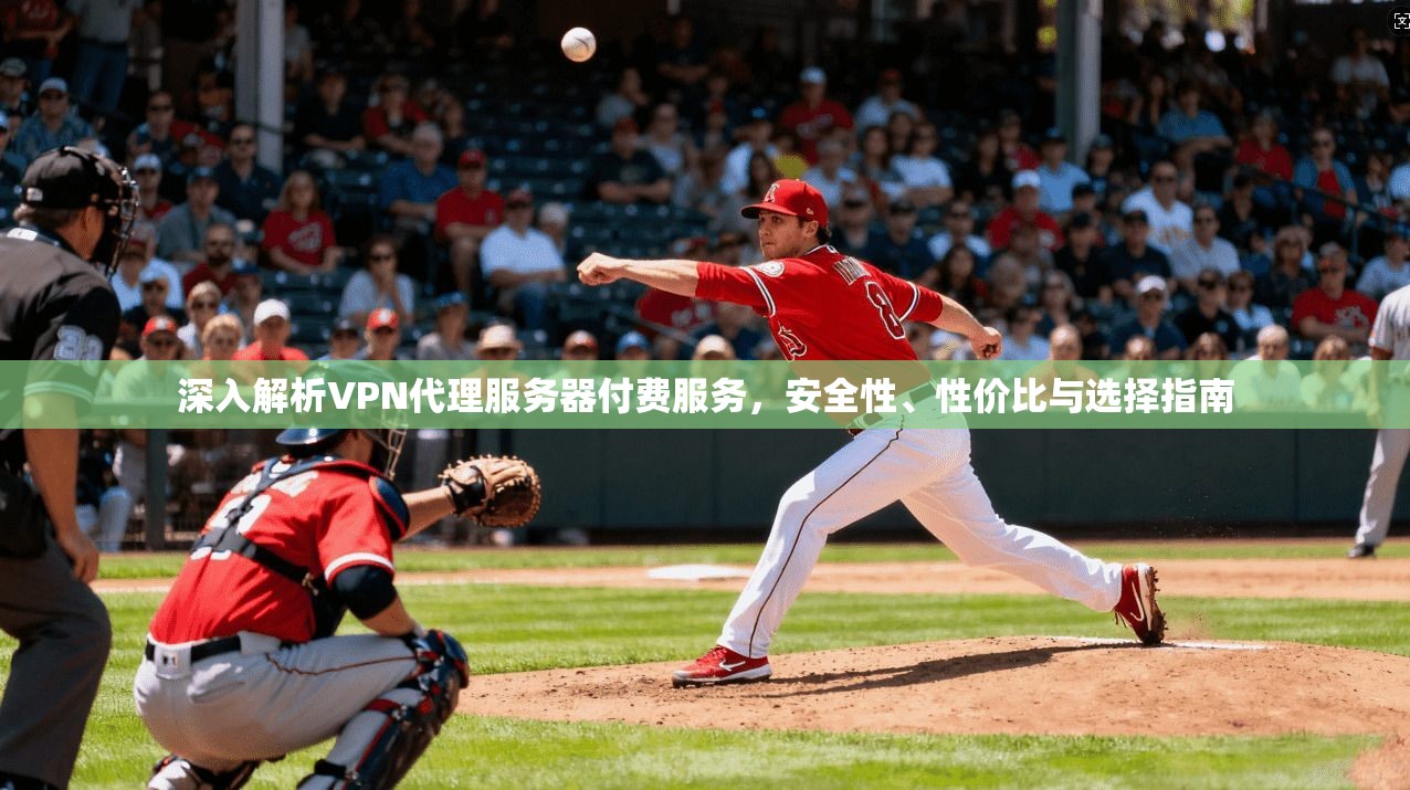 深入解析VPN代理服务器付费服务，安全性、性价比与选择指南