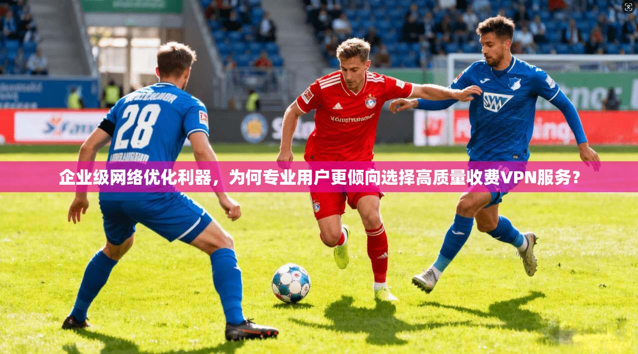 企业级网络优化利器，为何专业用户更倾向选择高质量收费VPN服务？