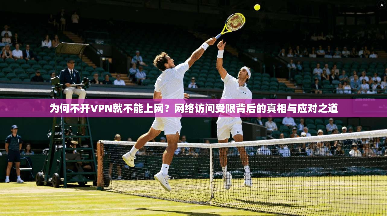 为何不开VPN就不能上网？网络访问受限背后的真相与应对之道