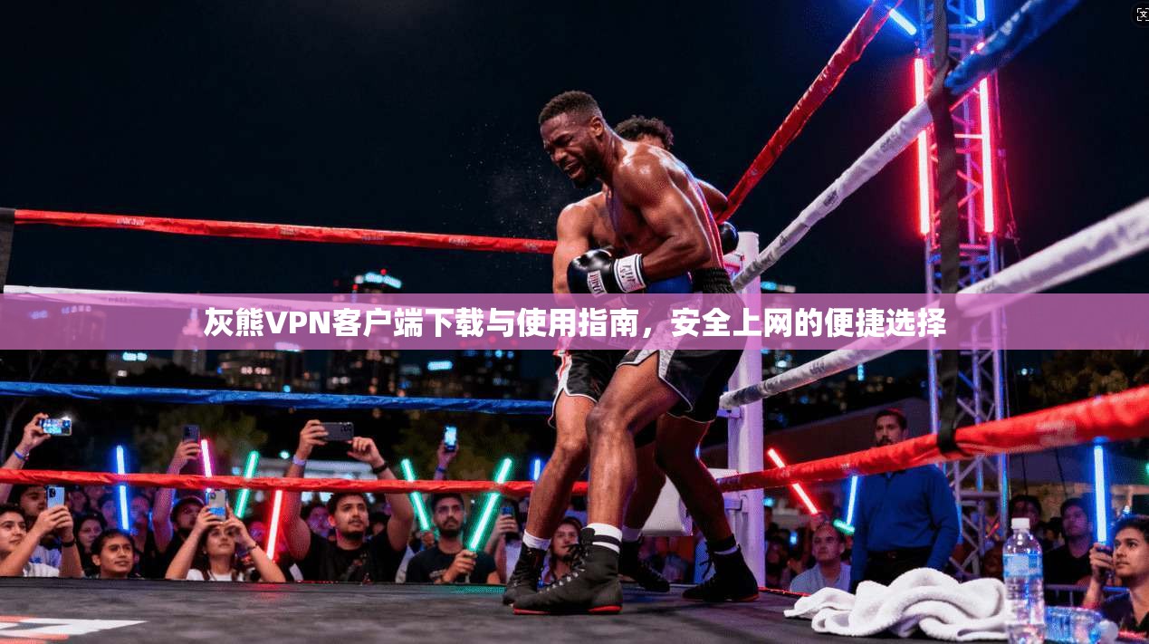 灰熊VPN客户端下载与使用指南，安全上网的便捷选择
