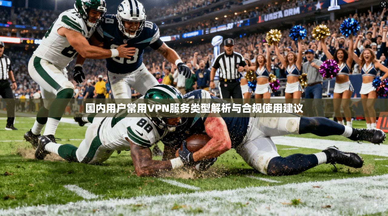 国内用户常用VPN服务类型解析与合规使用建议