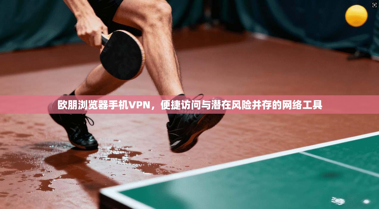 欧朋浏览器手机VPN,便捷访问与潜在风险并存的网络工具
