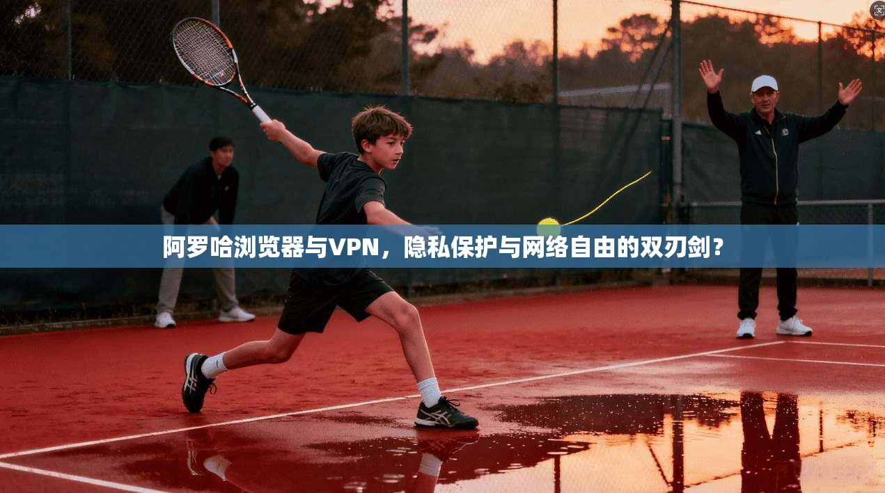 阿罗哈浏览器与VPN,隐私保护与网络自由的双刃剑?