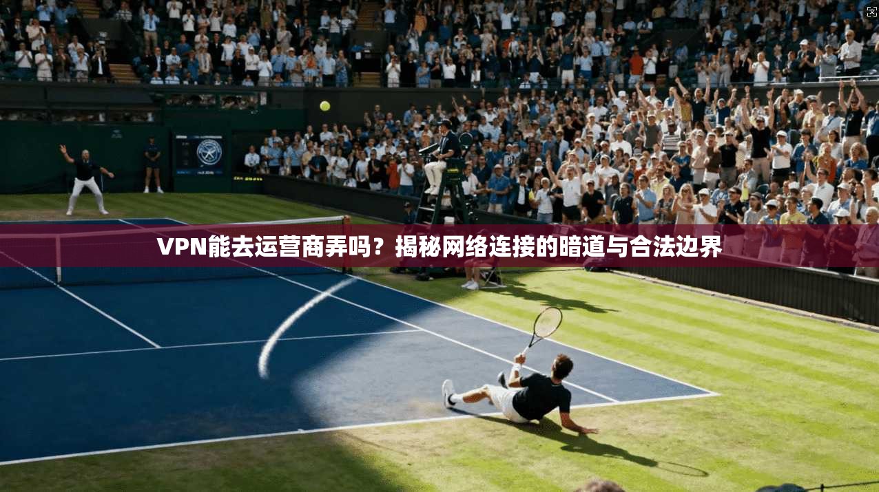 VPN能去运营商弄吗?揭秘网络连接的暗道与合法边界