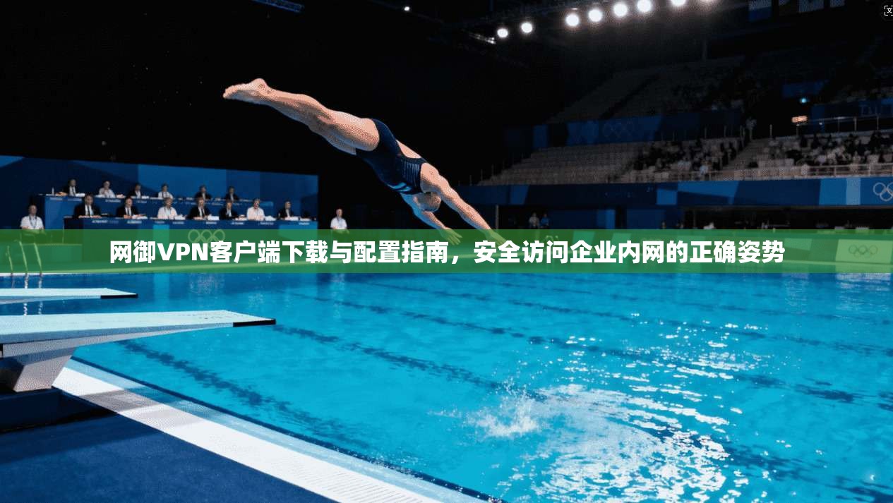 网御VPN客户端下载与配置指南，安全访问企业内网的正确姿势