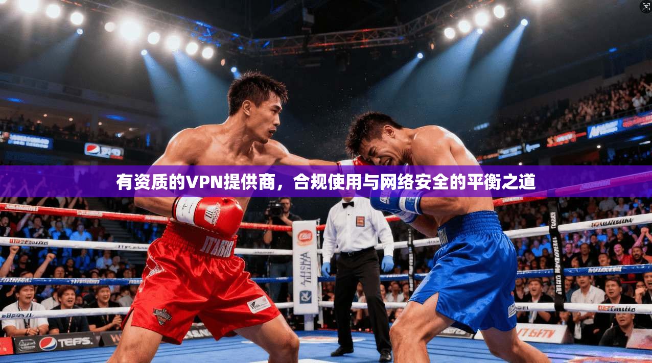 有资质的VPN提供商，合规使用与网络安全的平衡之道