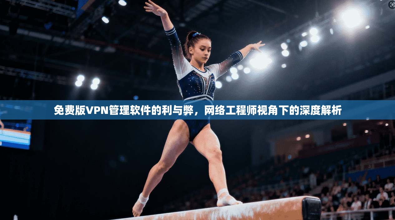 免费版VPN管理软件的利与弊，网络工程师视角下的深度解析
