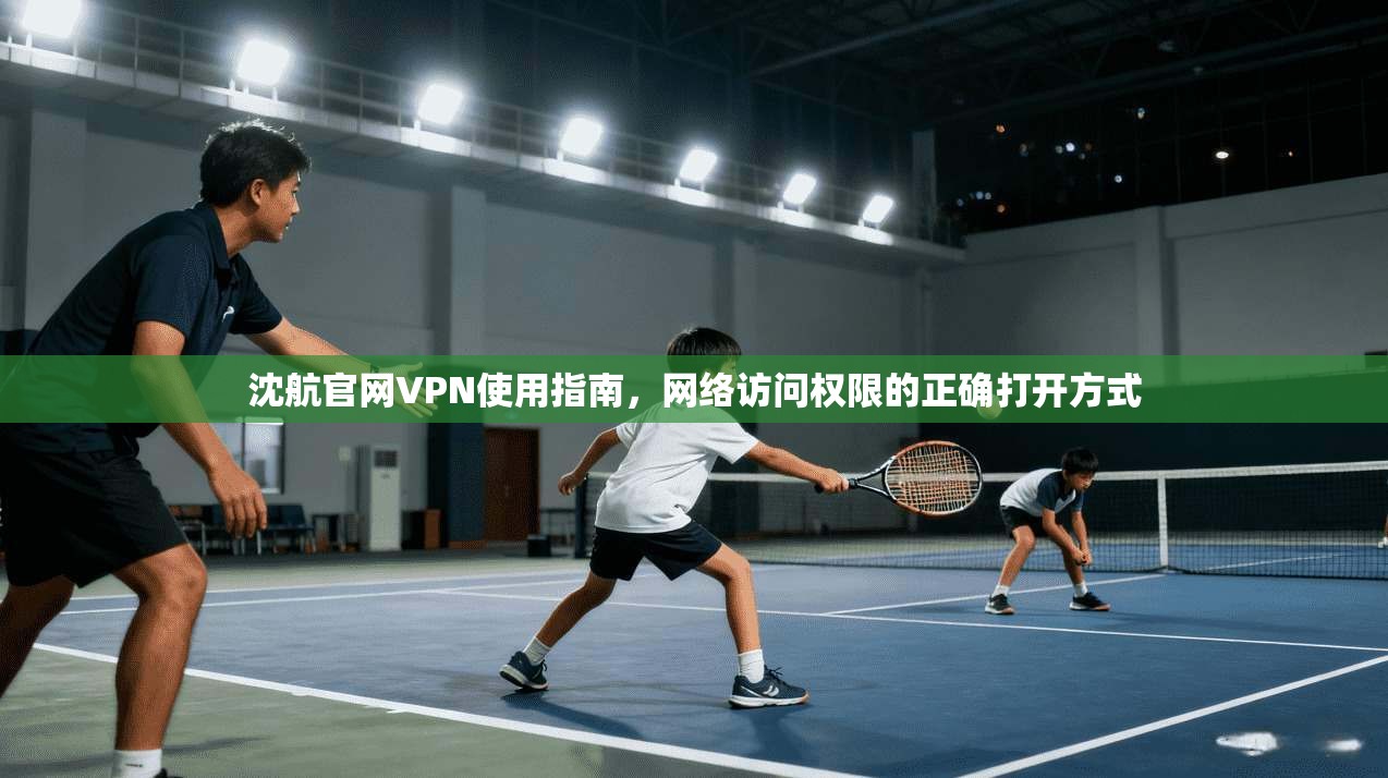 沈航官网VPN使用指南,网络访问权限的正确打开方式