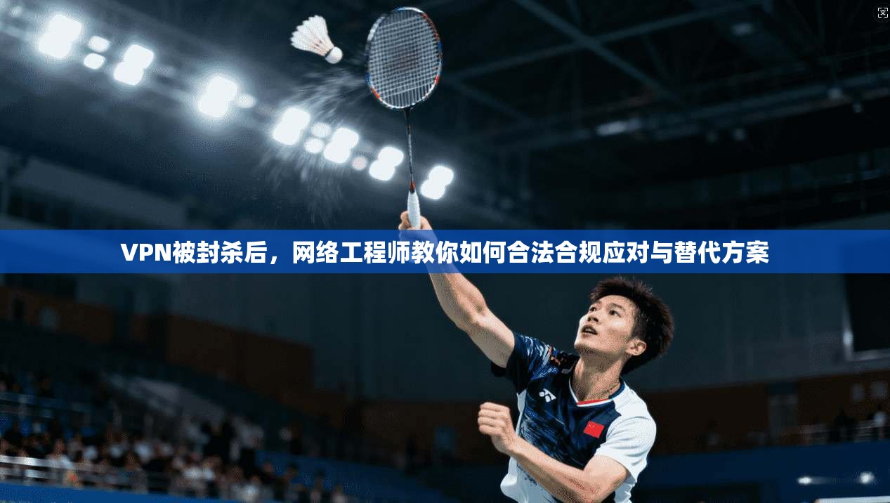 VPN被封杀后，网络工程师教你如何合法合规应对与替代方案