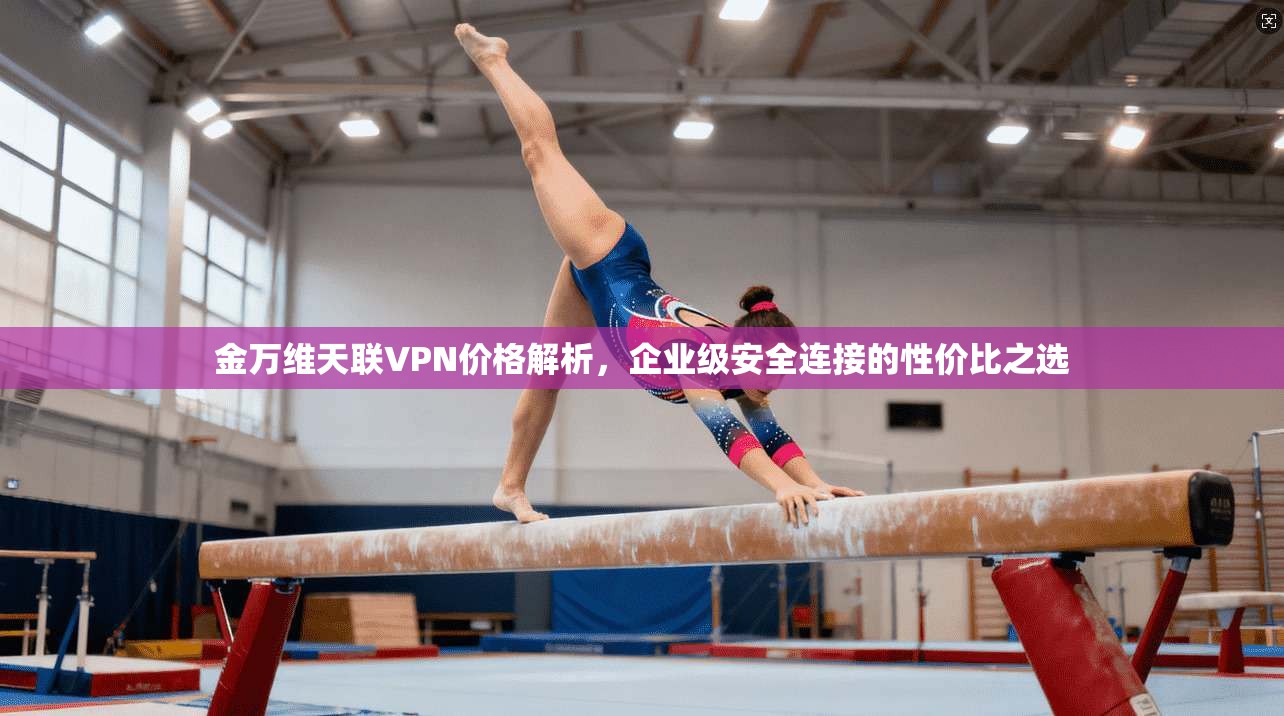 金万维天联VPN价格解析，企业级安全连接的性价比之选