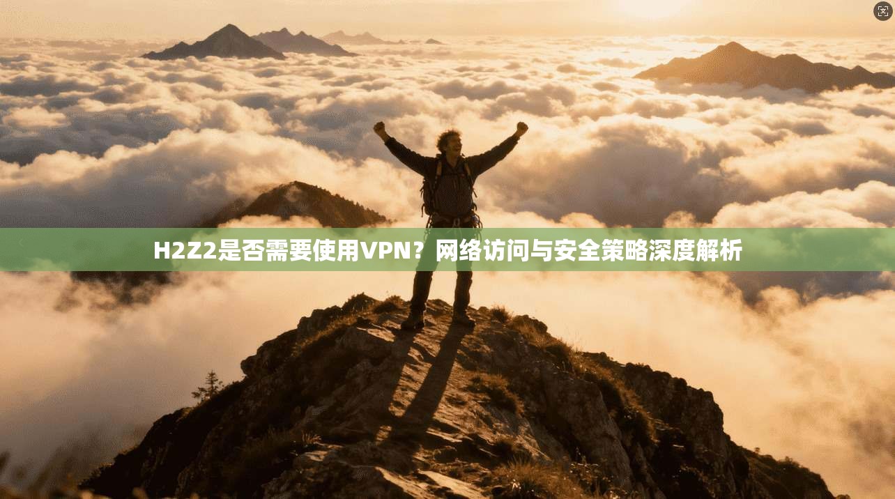 H2Z2是否需要使用VPN？网络访问与安全策略深度解析