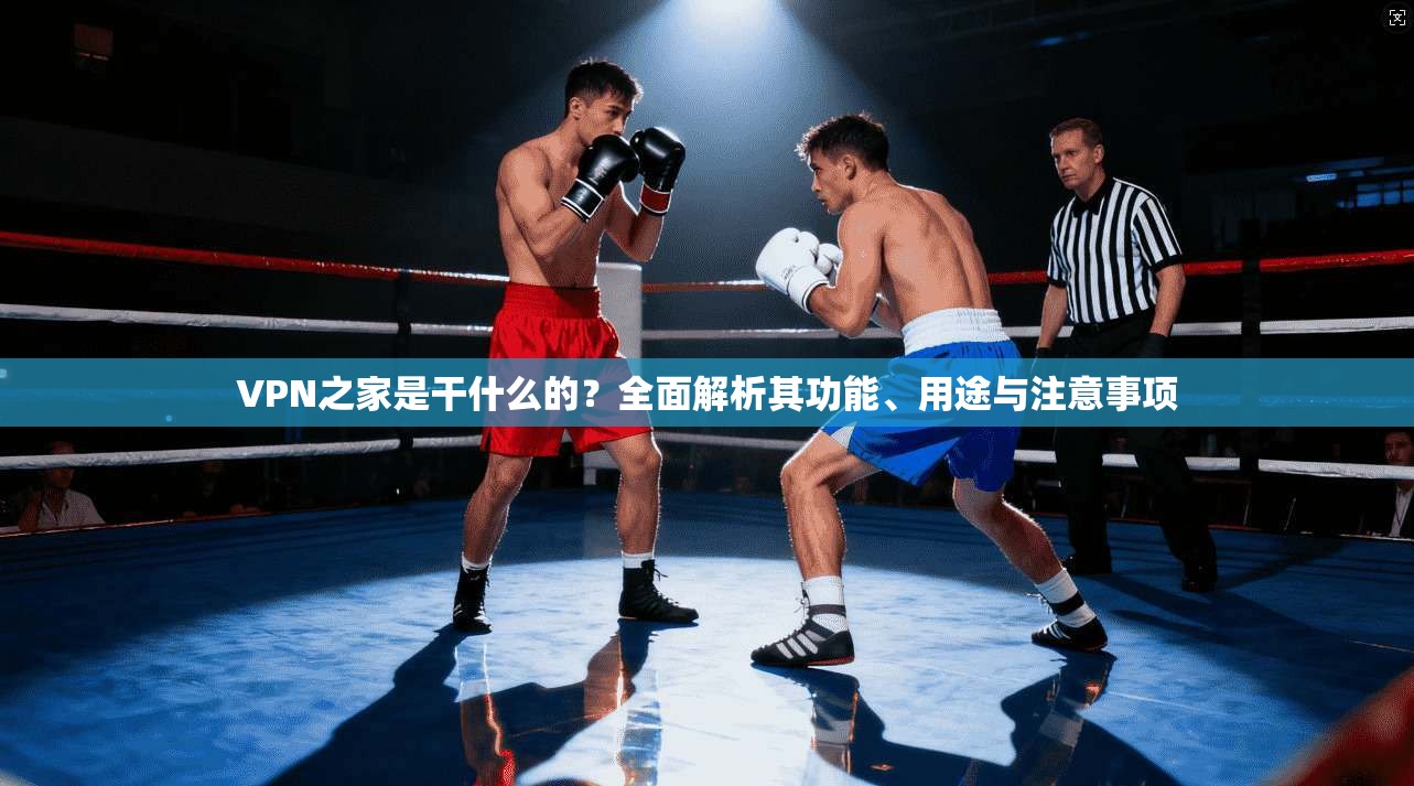 VPN之家是干什么的?全面解析其功能、用途与注意事项
