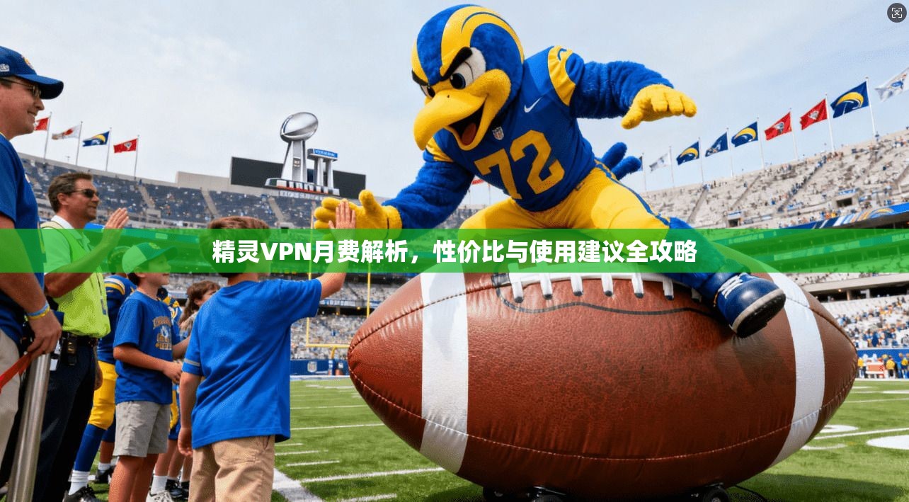 精灵VPN月费解析，性价比与使用建议全攻略