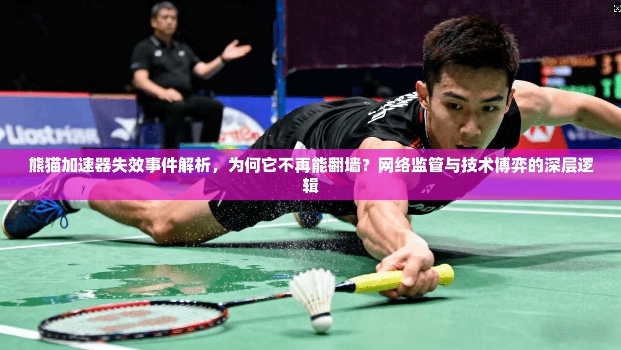 熊猫加速器失效事件解析,为何它不再能翻墙?网络监管与技术博弈的深层逻辑