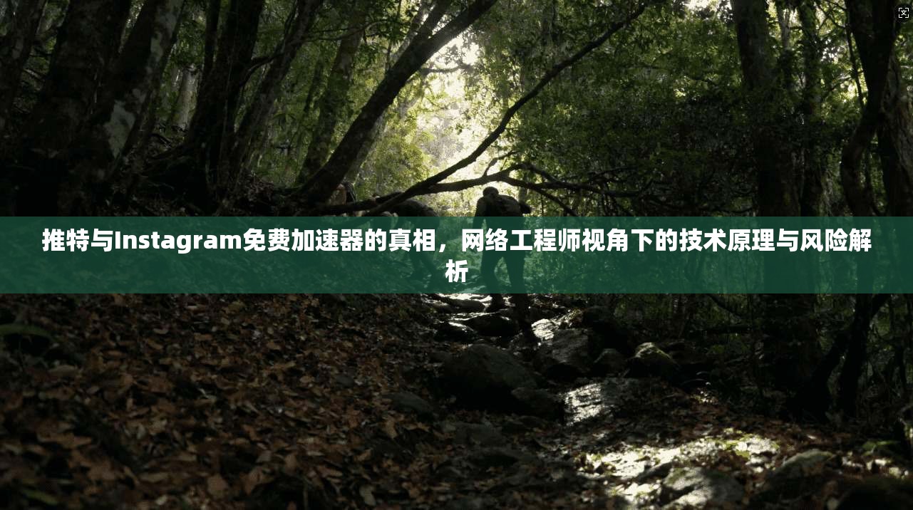 推特与Instagram免费加速器的真相，网络工程师视角下的技术原理与风险解析