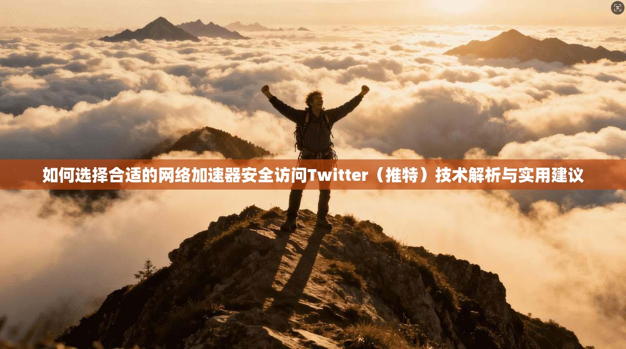 如何选择合适的网络加速器安全访问Twitter（推特）技术解析与实用建议
