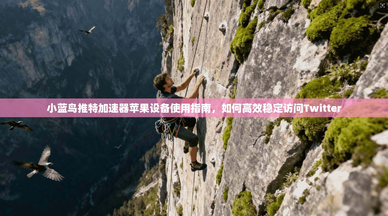 小蓝鸟推特加速器苹果设备使用指南,如何高效稳定访问Twitter