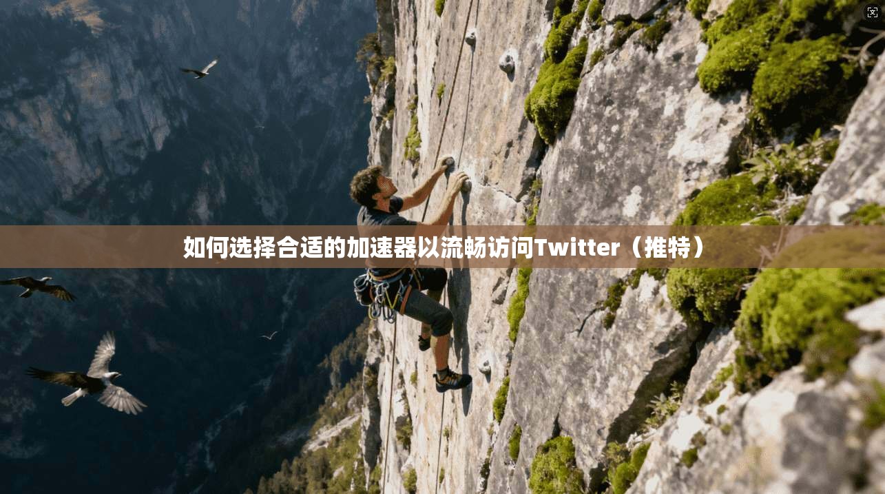 如何选择合适的加速器以流畅访问Twitter（推特）