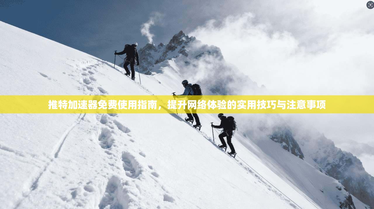 推特加速器免费使用指南,提升网络体验的实用技巧与注意事项