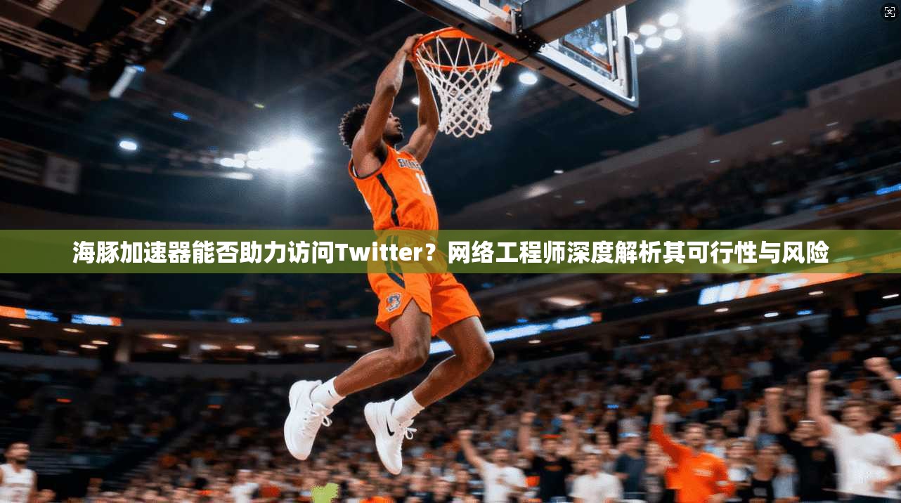 海豚加速器能否助力访问Twitter？网络工程师深度解析其可行性与风险