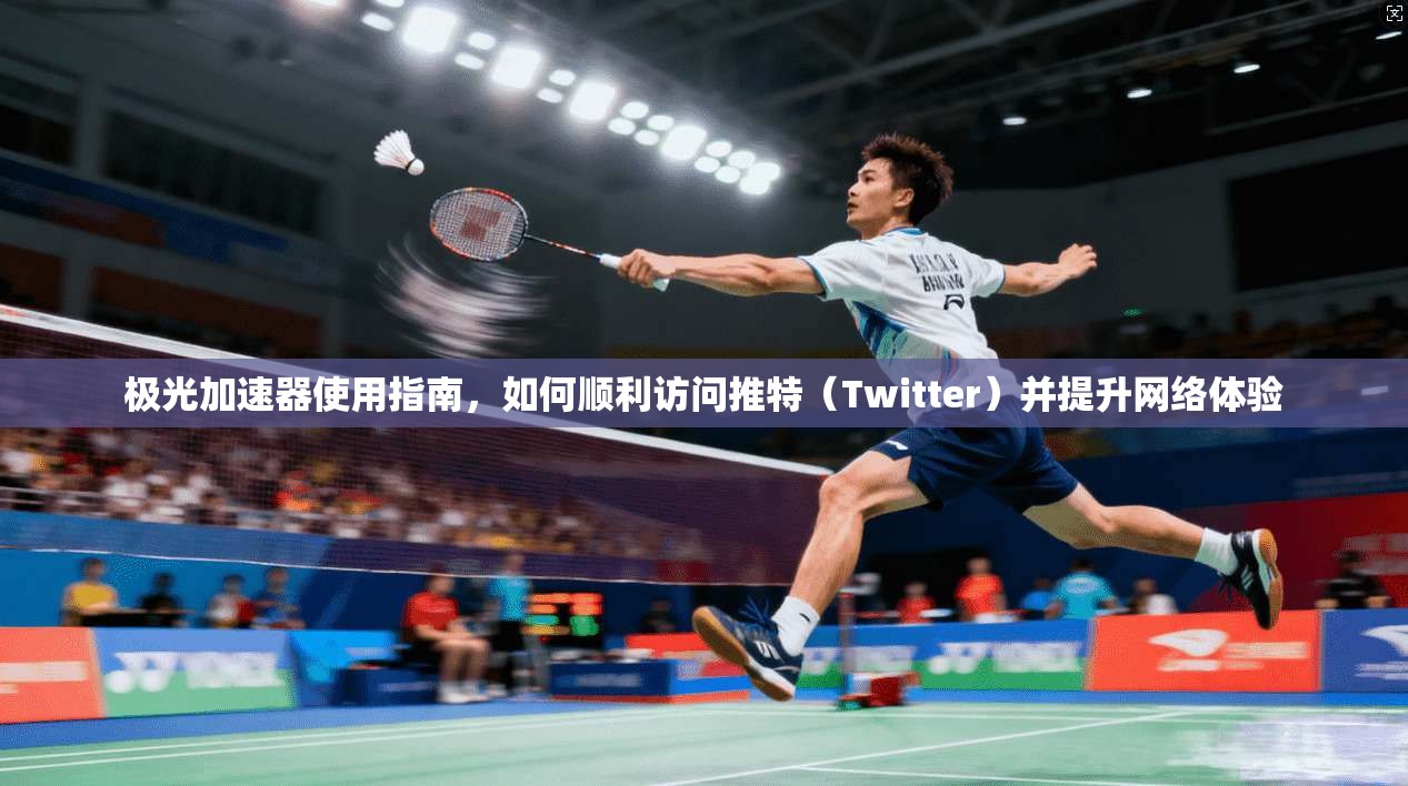 极光加速器使用指南，如何顺利访问推特（Twitter）并提升网络体验