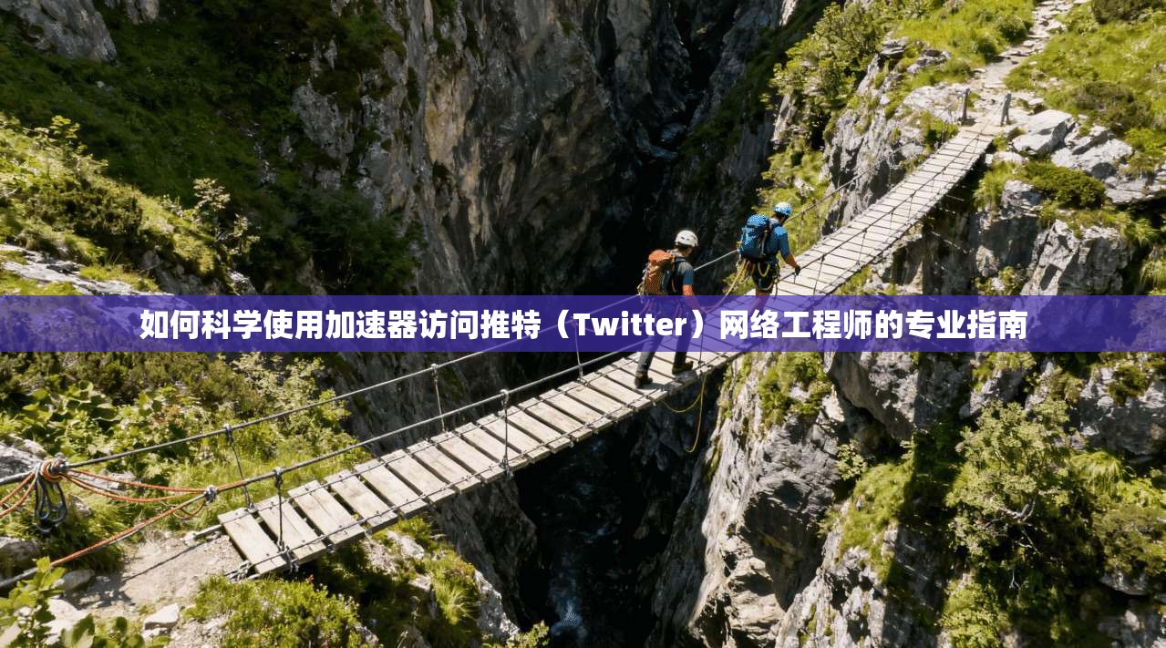 如何科学使用加速器访问推特（Twitter）网络工程师的专业指南