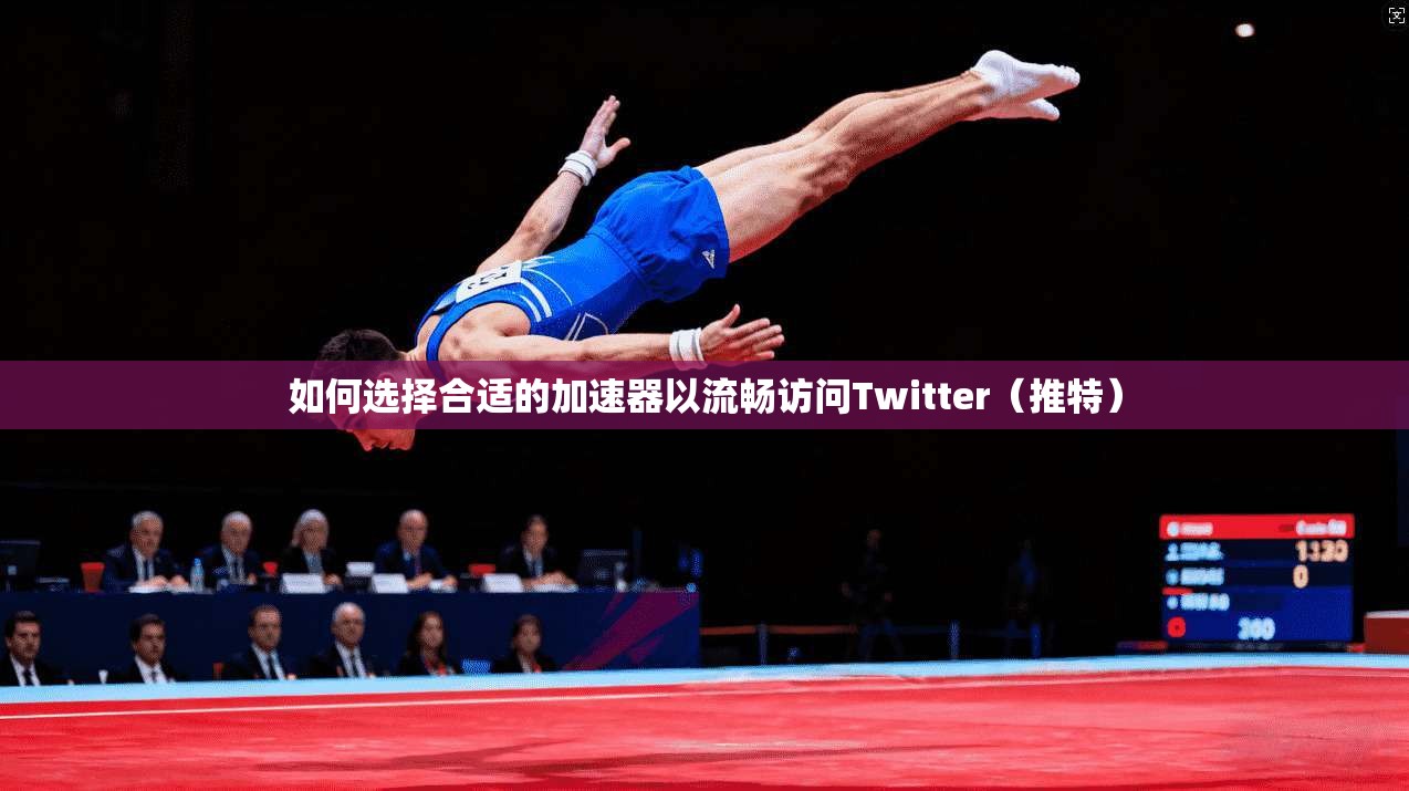 如何选择合适的加速器以流畅访问Twitter(推特)