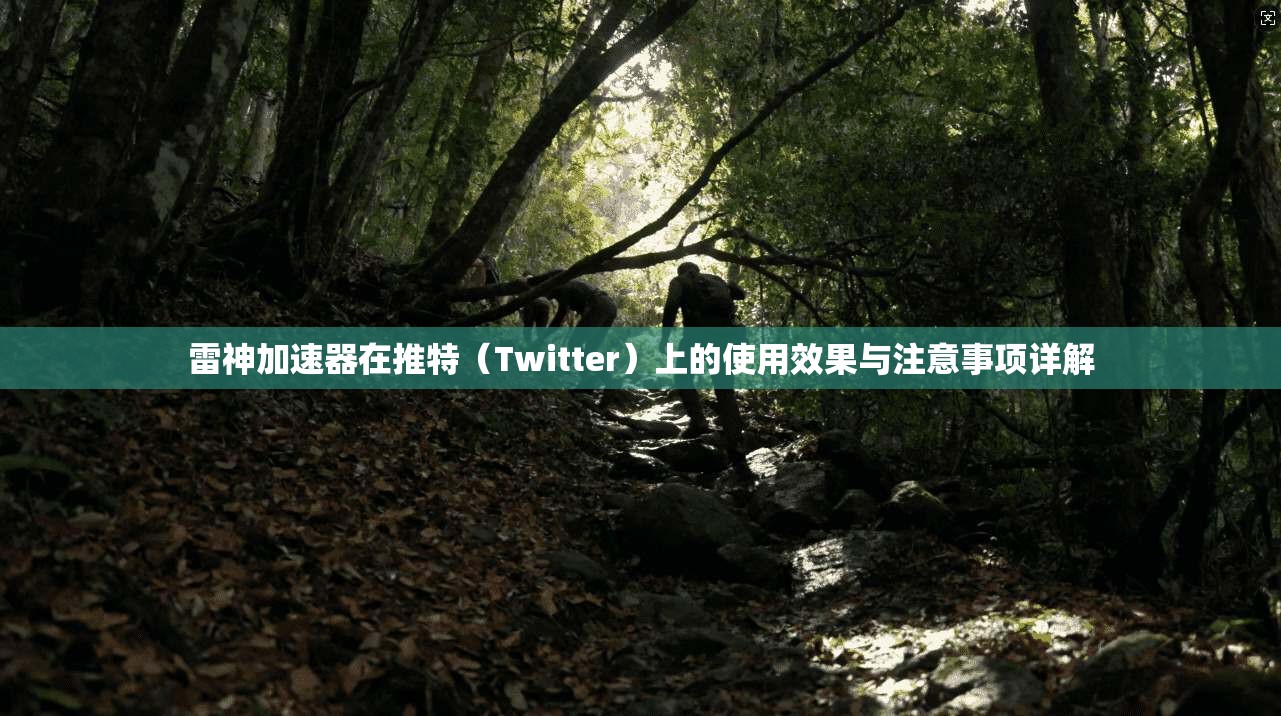 雷神加速器在推特(Twitter)上的使用效果与注意事项详解