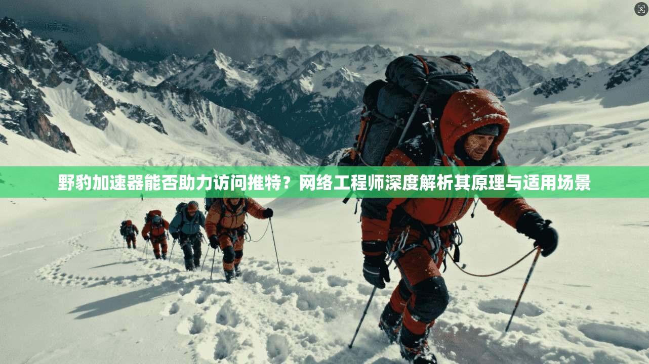 野豹加速器能否助力访问推特？网络工程师深度解析其原理与适用场景