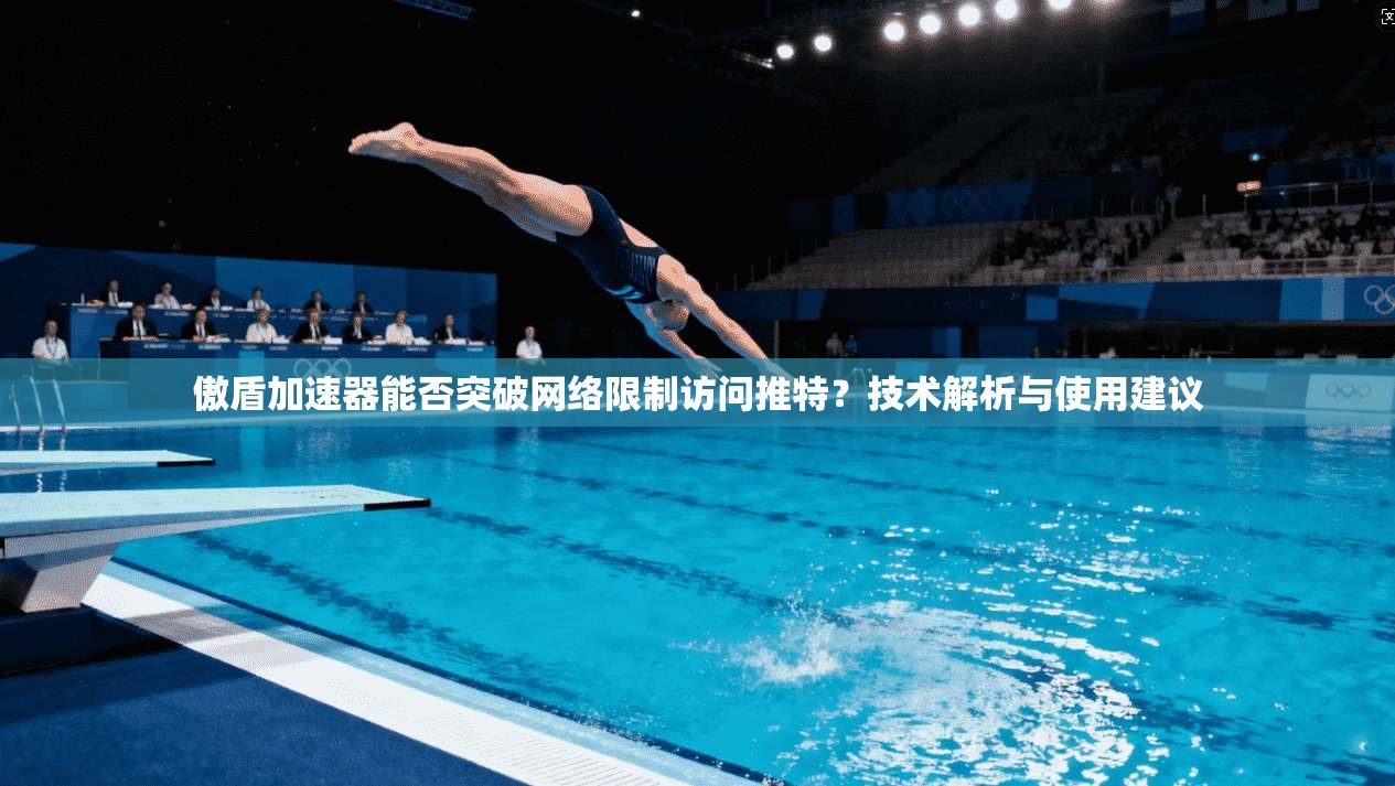 傲盾加速器能否突破网络限制访问推特?技术解析与使用建议