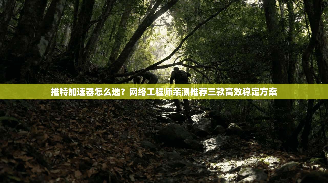 推特加速器怎么选？网络工程师亲测推荐三款高效稳定方案