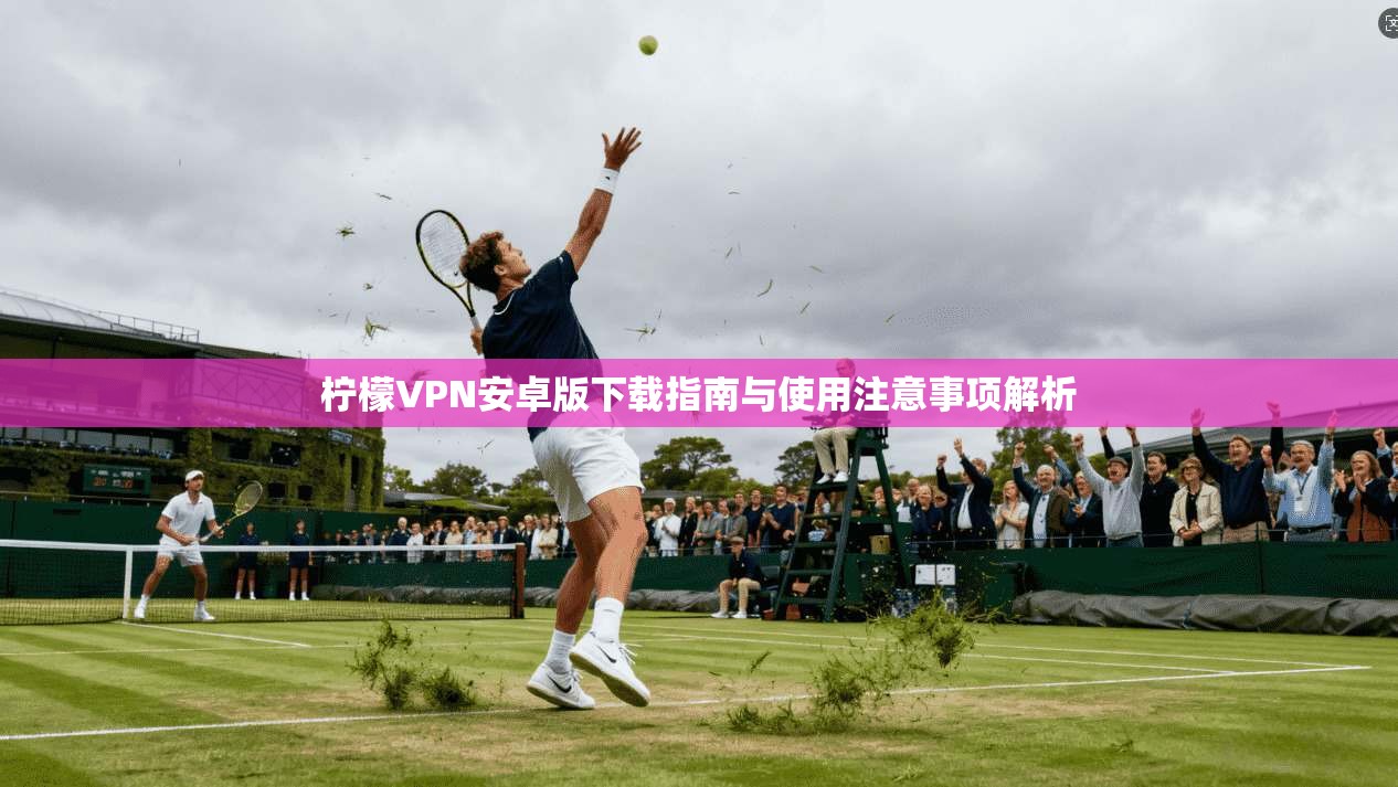 柠檬VPN安卓版下载指南与使用注意事项解析