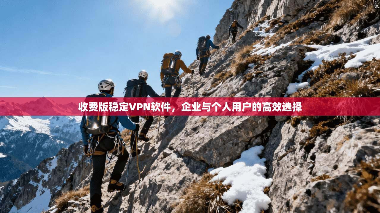 收费版稳定VPN软件，企业与个人用户的高效选择