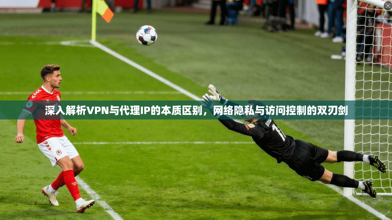 深入解析VPN与代理IP的本质区别,网络隐私与访问控制的双刃剑