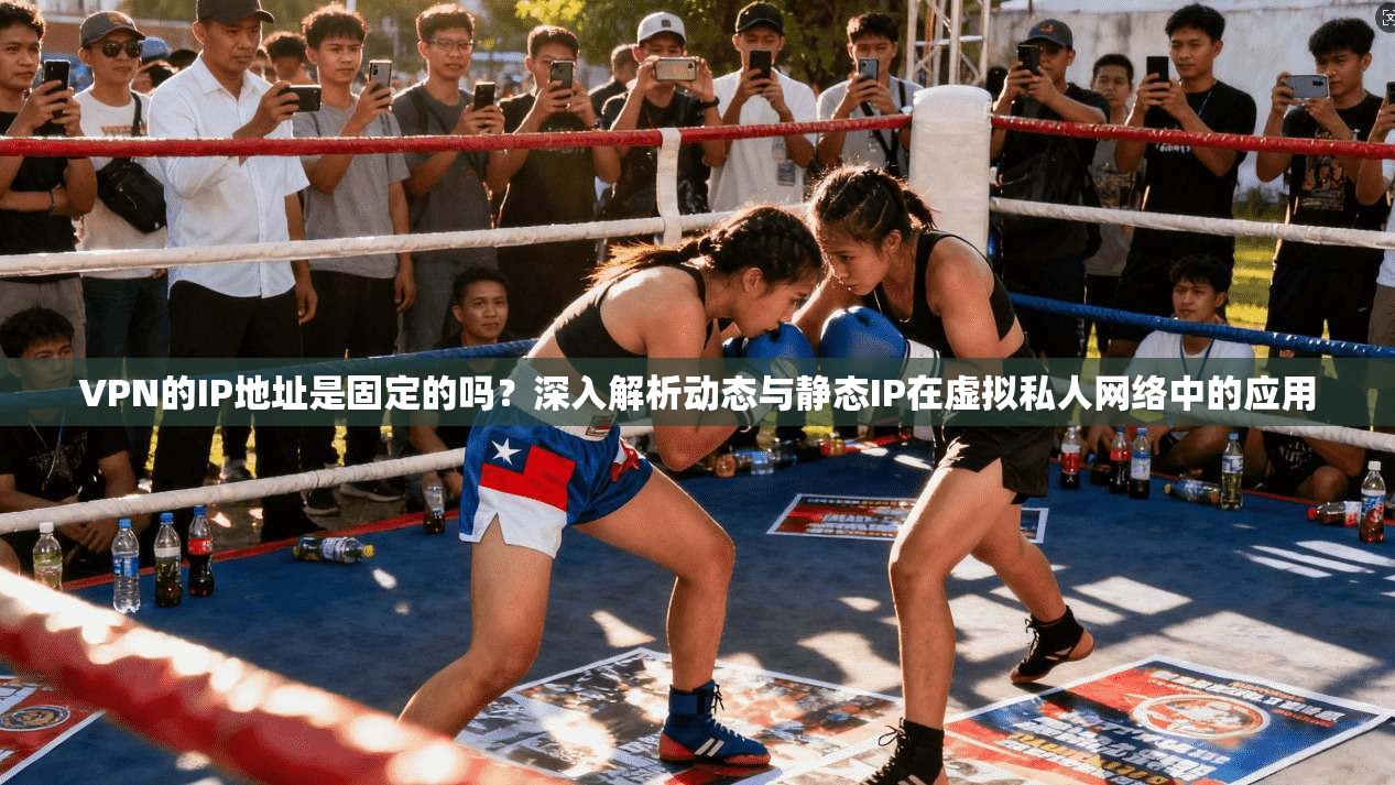 VPN的IP地址是固定的吗?深入解析动态与静态IP在虚拟私人网络中的应用