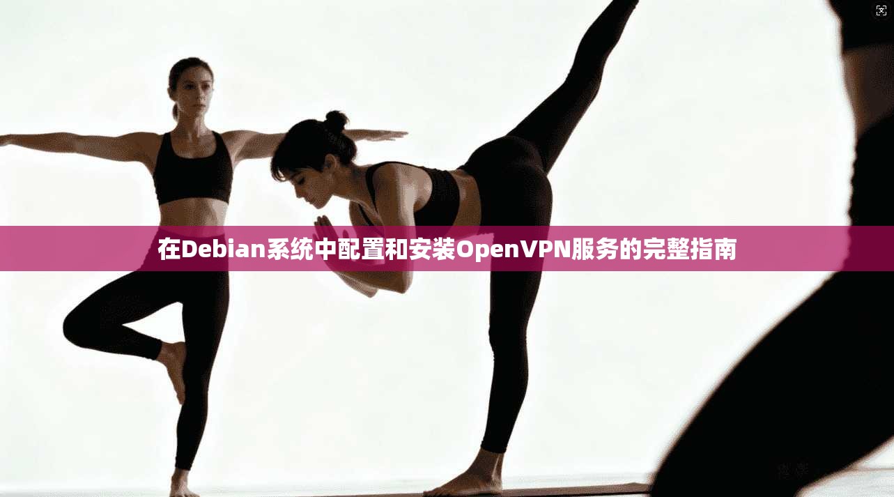 在Debian系统中配置和安装OpenVPN服务的完整指南