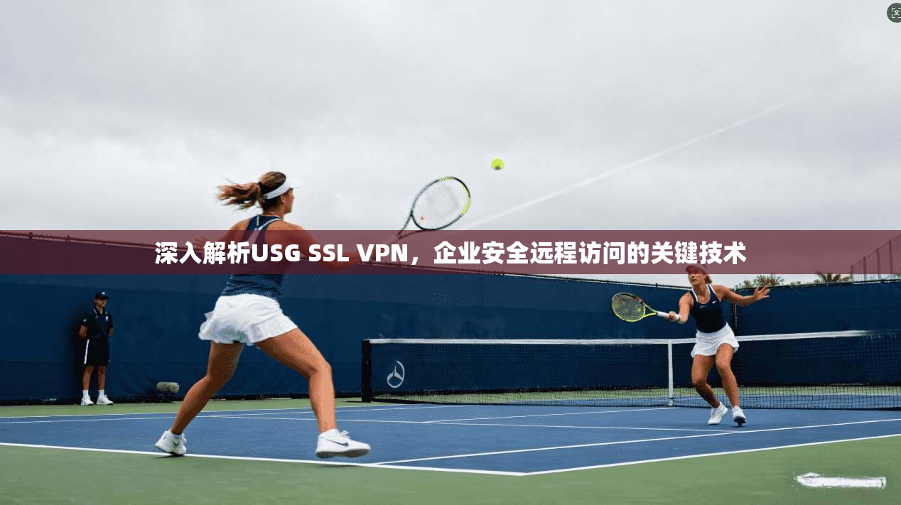 深入解析USG SSL VPN，企业安全远程访问的关键技术