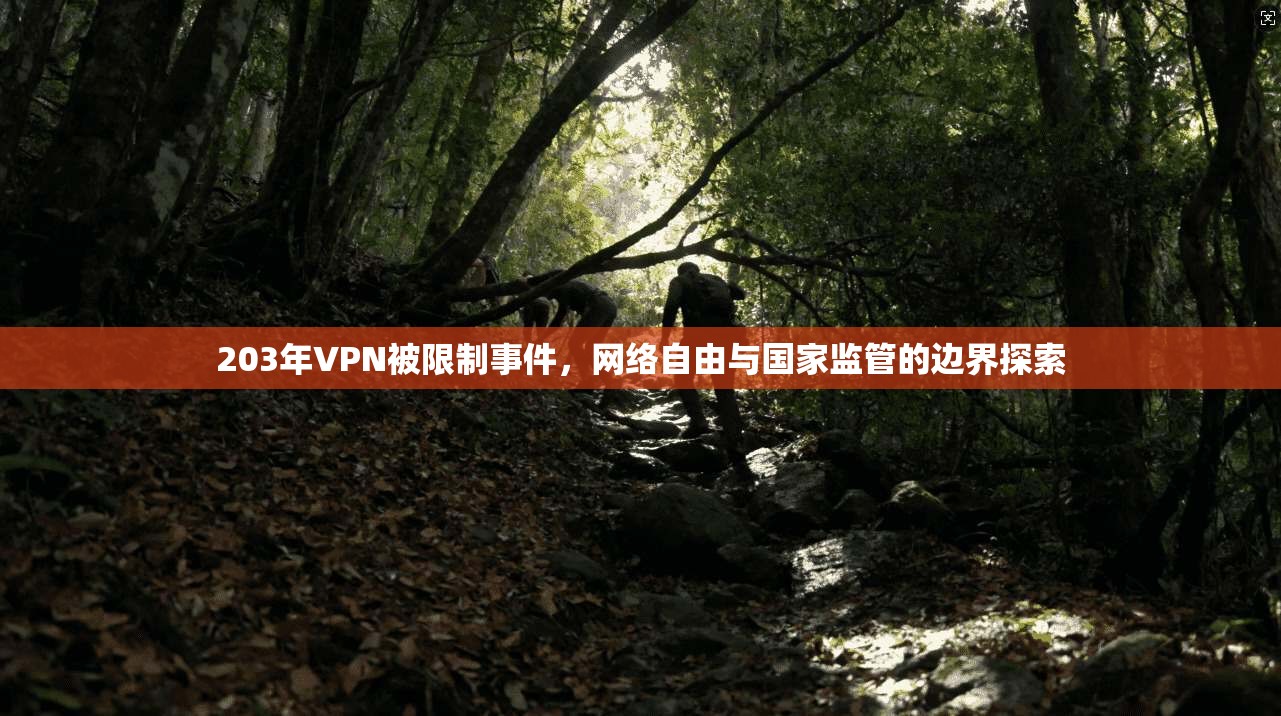 203年VPN被限制事件，网络自由与国家监管的边界探索