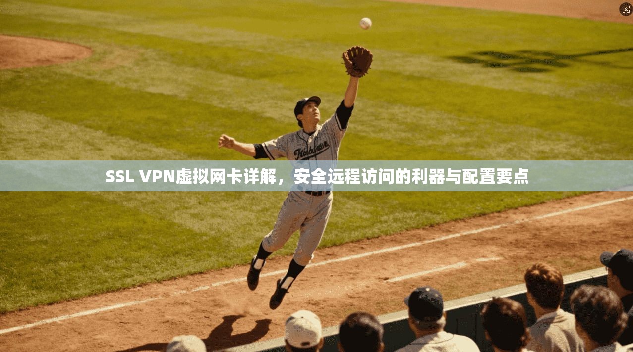 SSL VPN虚拟网卡详解，安全远程访问的利器与配置要点